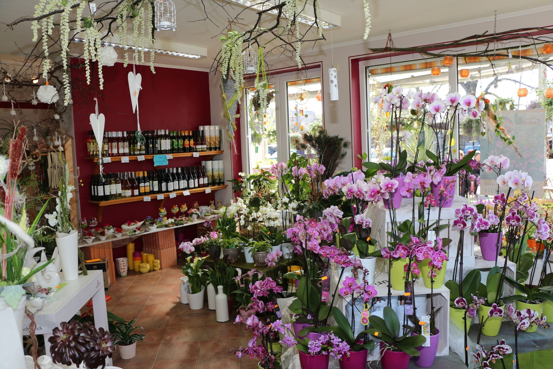 Große Auswahl an Schnittblumen, Zimmerpflanzen und Orchideen