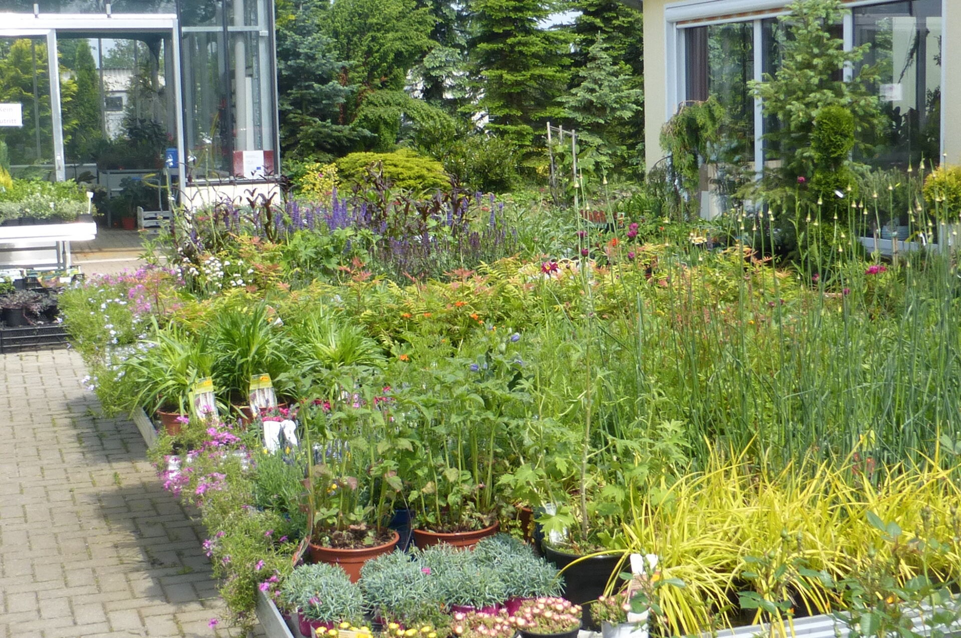 Gartencenter M. Pötschke in Neschwitz