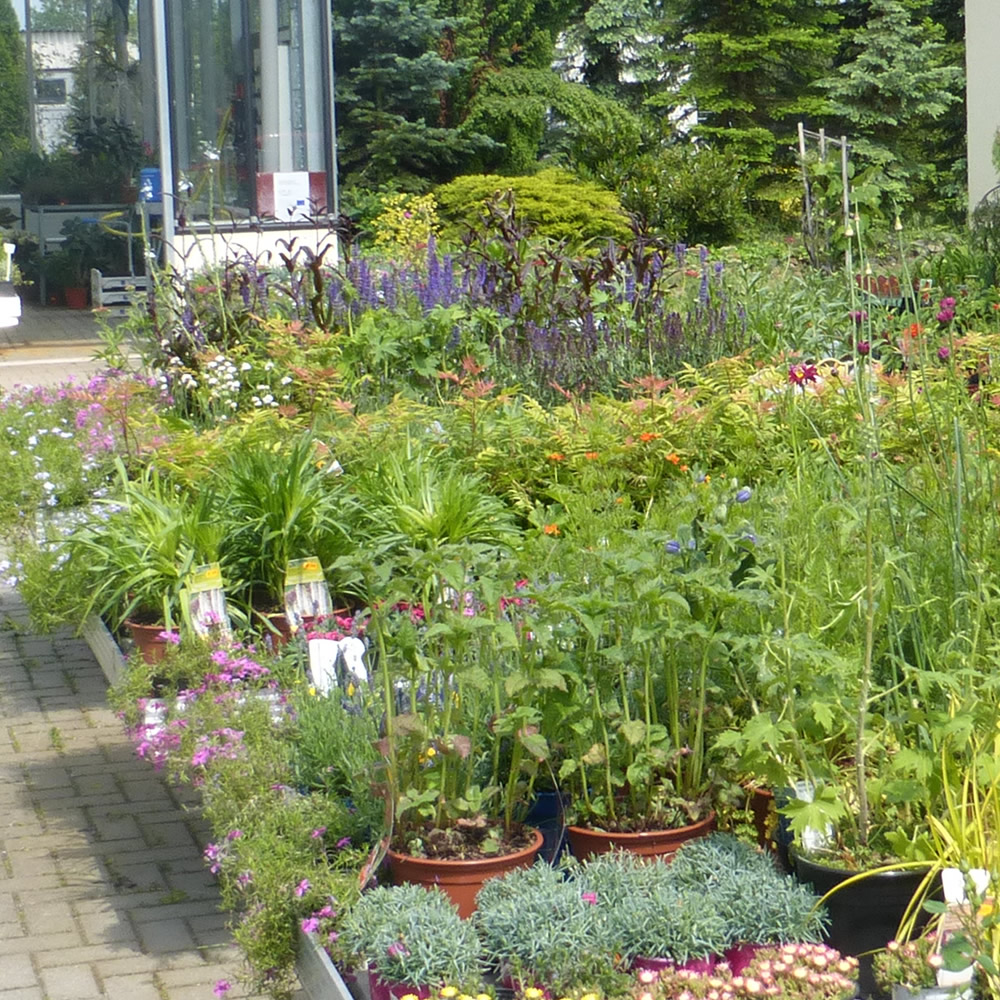 Gartencenter bei Bautzen | Alles für den Garten