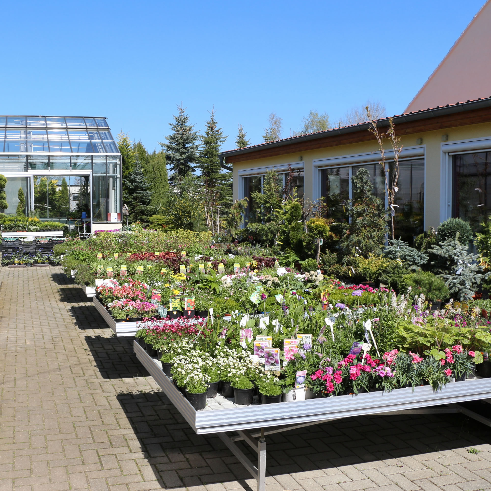 Gärtnerei & Pflanzenmarkt mit Garten- & Balkonpflanzen