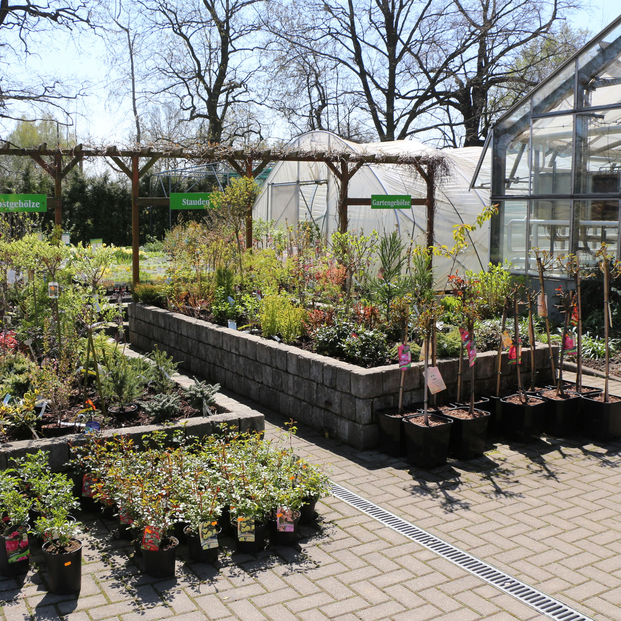 Garten- & Balkonpflanzen aus eigener Gärtner-Anzucht