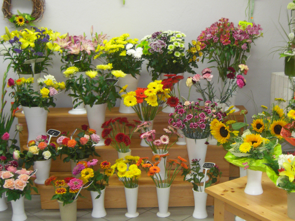Auswahl an bunten Schnittblumen
