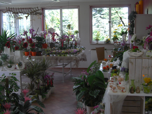 Schnittblumen, Blumen-Geschenke & individuelle Floristik